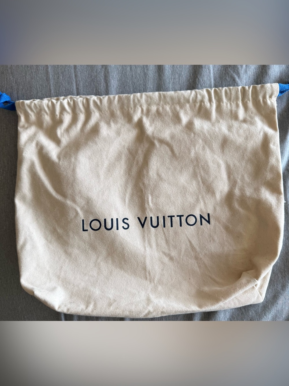 Louis Vuitton Small Dust Bag